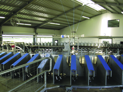 Fig. 07: Photograph showing a modern rotary milking barn.